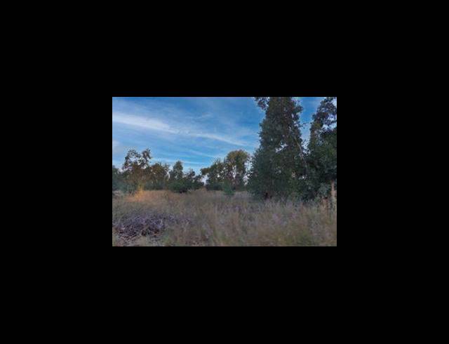 11HA VACANT LAND FOR SALE IN TENACRE AH